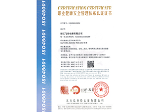 職業(yè)健康安全管理體系證書(shū)